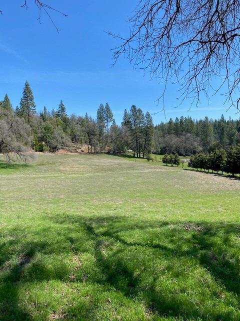 Pine Grove Volcano Road, Pine Grove, California image 33