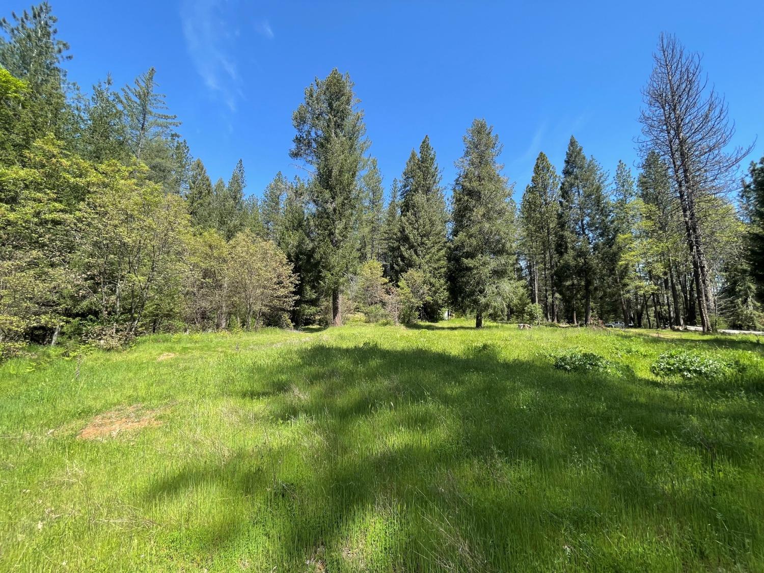 Detail Gallery Image 5 of 51 For 18822 Farrell Ravine Way, Nevada City,  CA 95959 - – Beds | – Baths