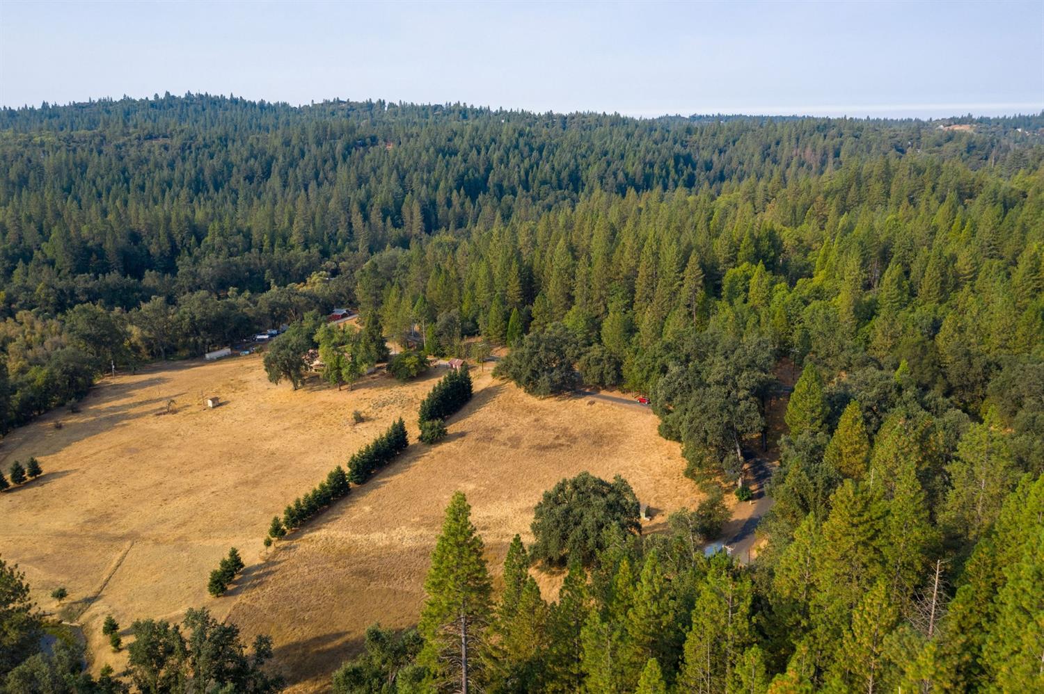 Pine Grove Volcano Road, Pine Grove, California image 14