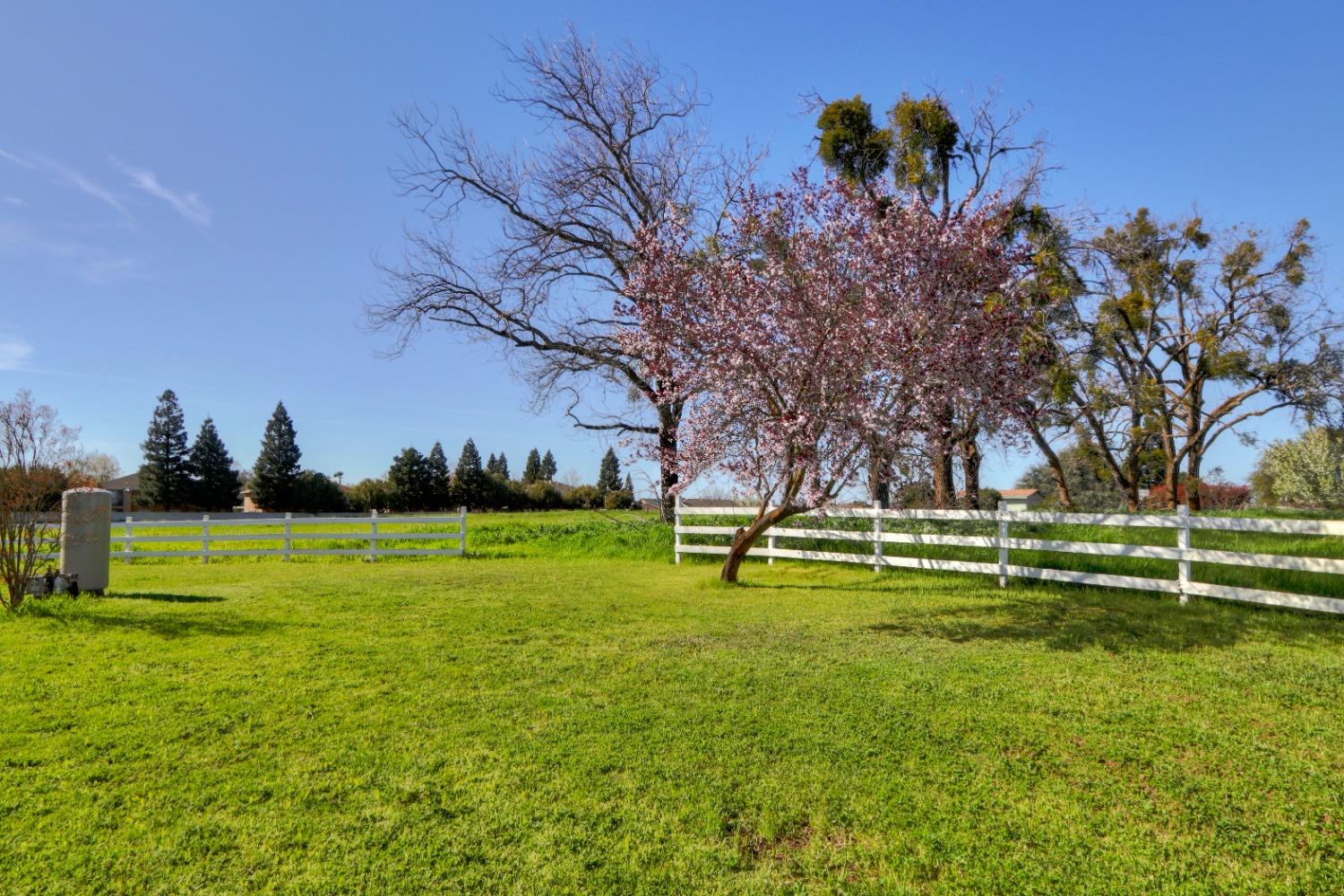 Detail Gallery Image 46 of 73 For 6038 Alberta Ave, Marysville,  CA 95901 - 3 Beds | 2 Baths