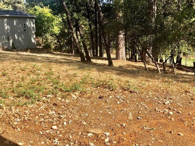 Detail Gallery Image 8 of 10 For 11425 Lower Circle Dr, Grass Valley,  CA 95949 - – Beds | – Baths