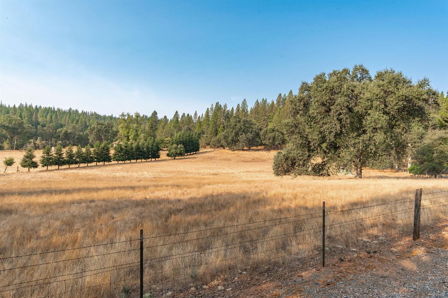 Pine Grove Volcano Road, Pine Grove, California image 27