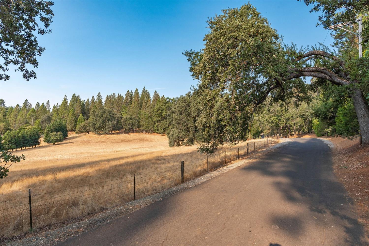 Pine Grove Volcano Road, Pine Grove, California image 23