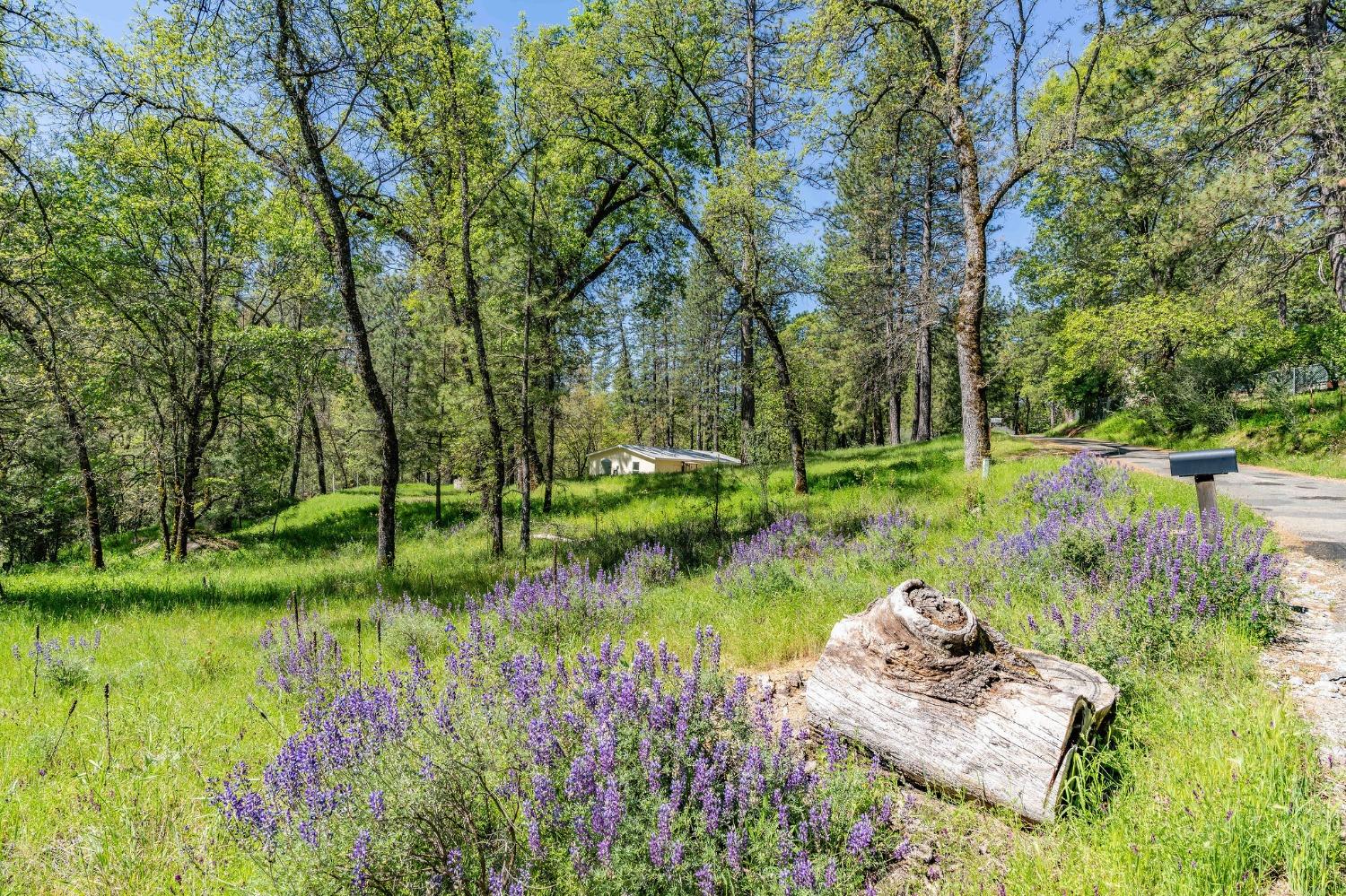 Detail Gallery Image 30 of 37 For 121 Rabbits Foot Rd, West Point,  CA 95255 - 3 Beds | 2 Baths