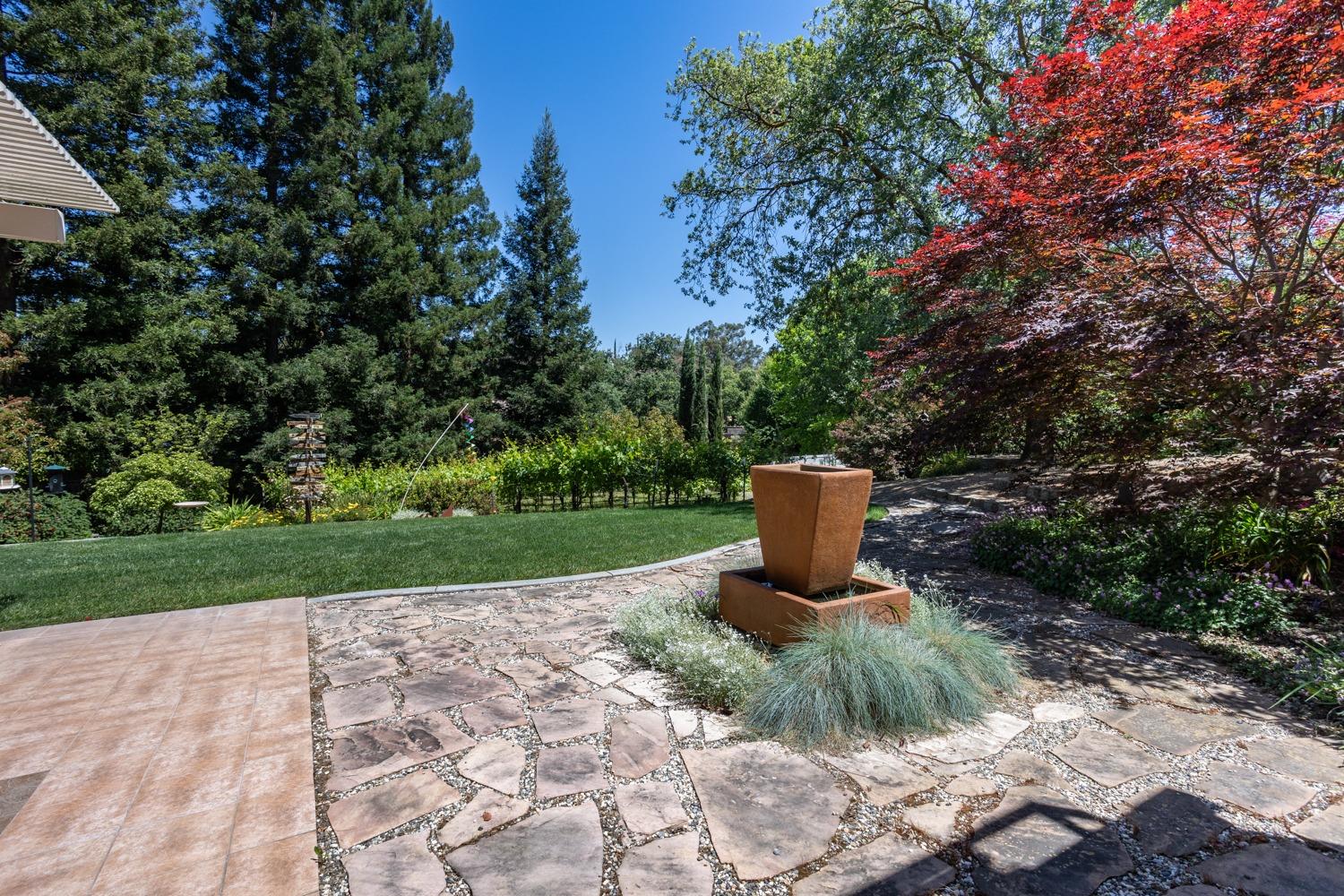 Detail Gallery Image 39 of 53 For 9961 Poppy Hills Dr, Oakdale,  CA 95361 - 3 Beds | 2/1 Baths
