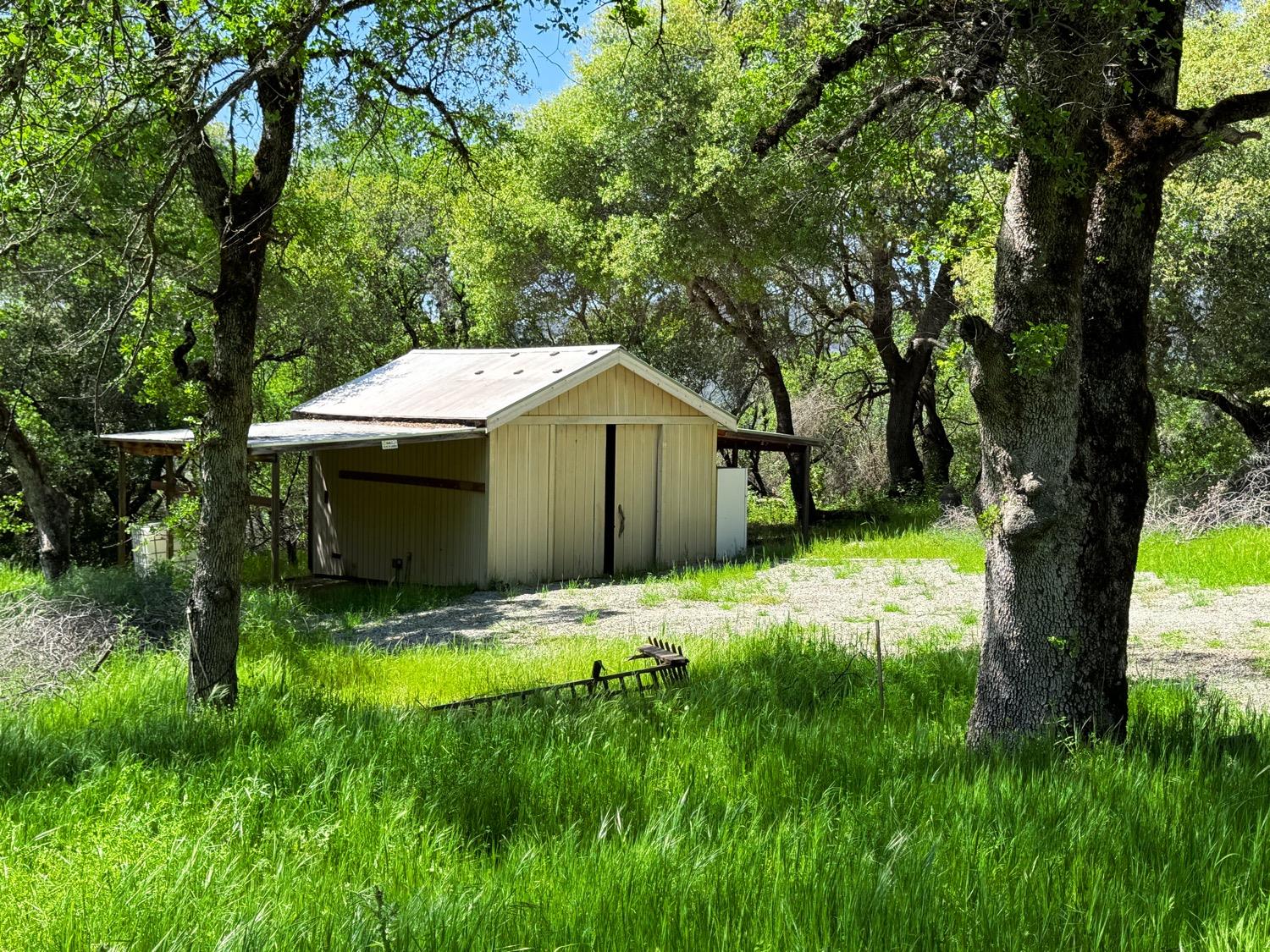 White Antler Road, North San Juan, California image 10