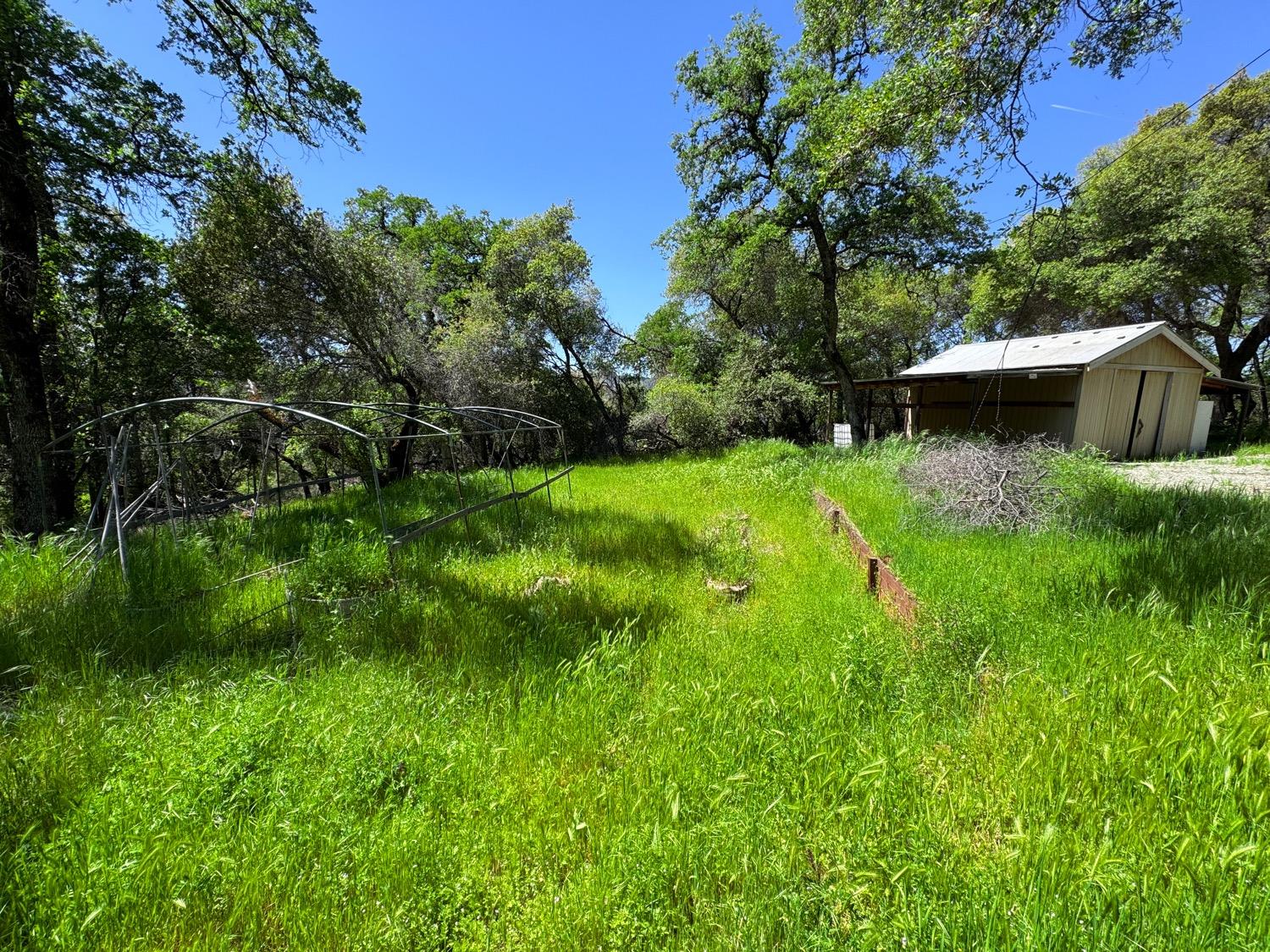 White Antler Road, North San Juan, California image 15