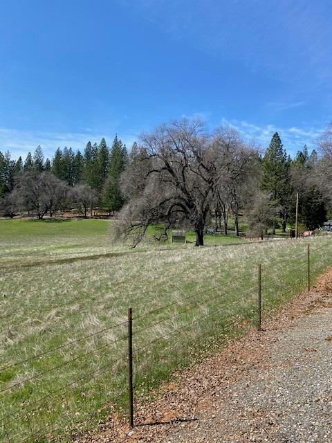 Pine Grove Volcano Road, Pine Grove, California image 37