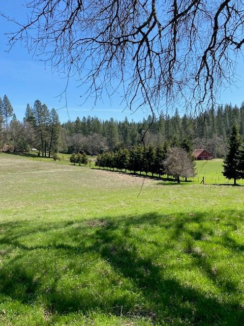 Pine Grove Volcano Road, Pine Grove, California image 34