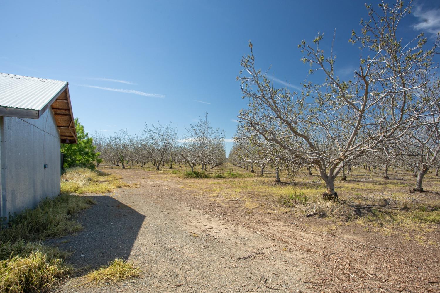 Garden Hwy, Yuba City, California image 34