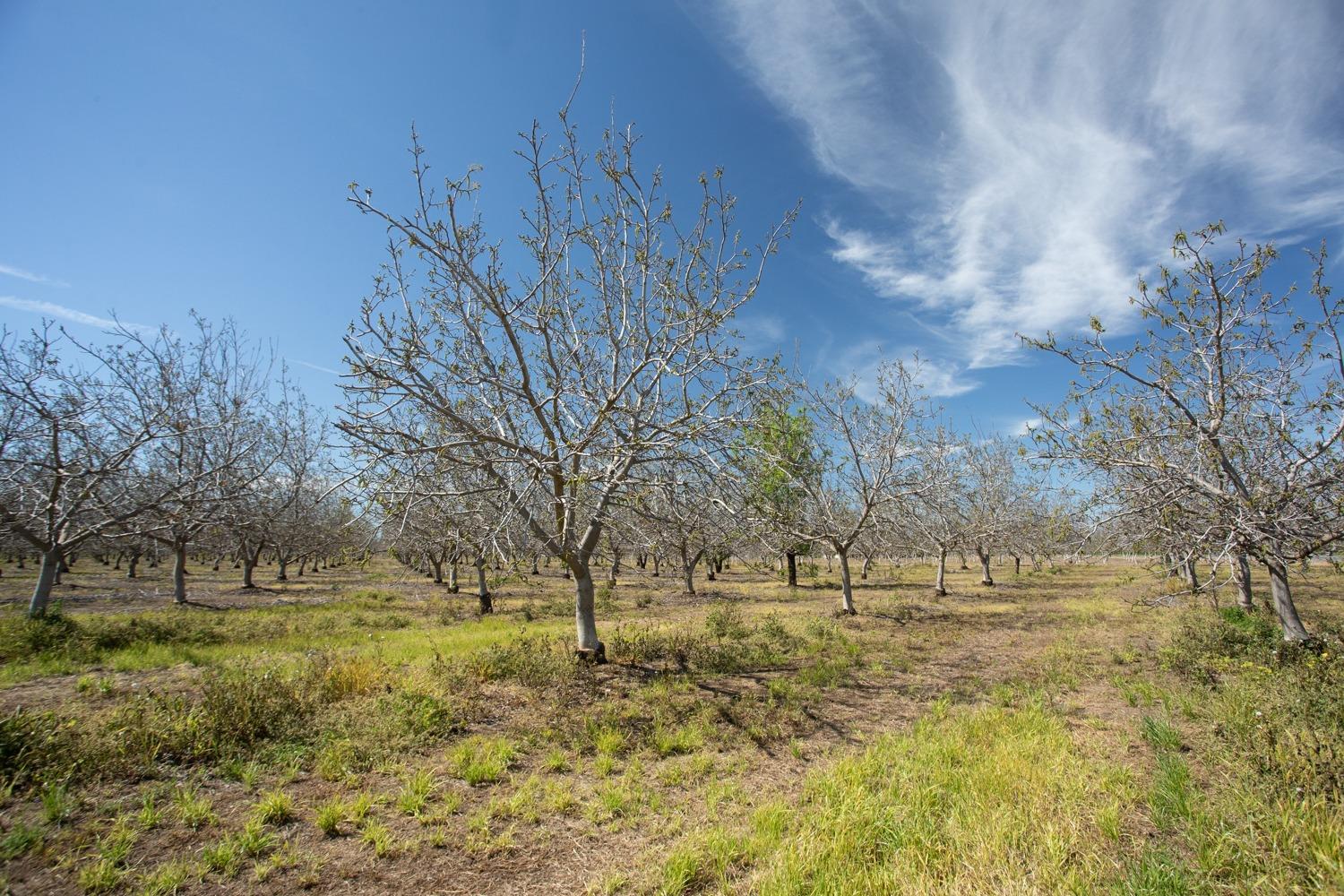 Garden Hwy, Yuba City, California image 33