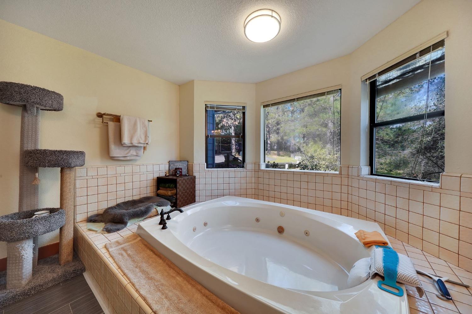 Detail Gallery Image 46 of 87 For 14001 Surrey Junction Ln, Sutter Creek,  CA 95685 - 3 Beds | 2/1 Baths