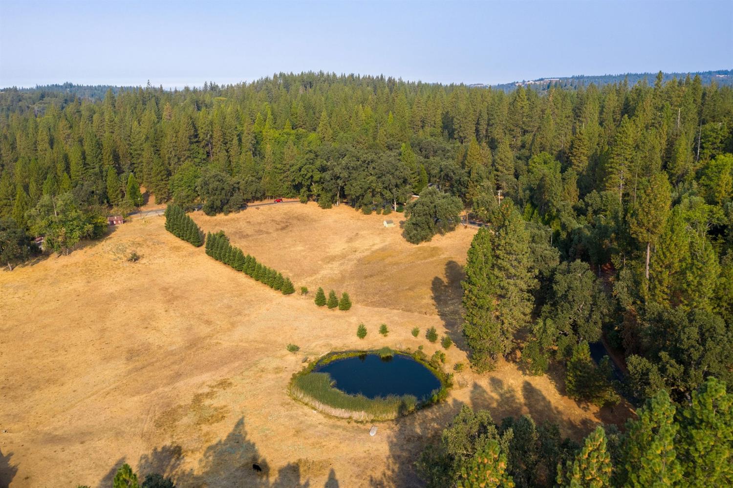 Pine Grove Volcano Road, Pine Grove, California image 17