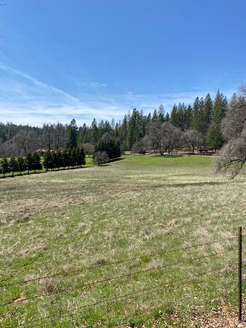 Pine Grove Volcano Road, Pine Grove, California image 36