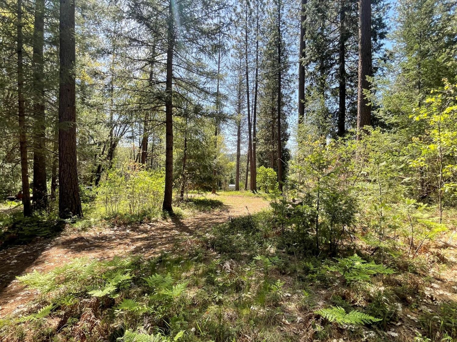 Detail Gallery Image 11 of 51 For 18822 Farrell Ravine Way, Nevada City,  CA 95959 - – Beds | – Baths