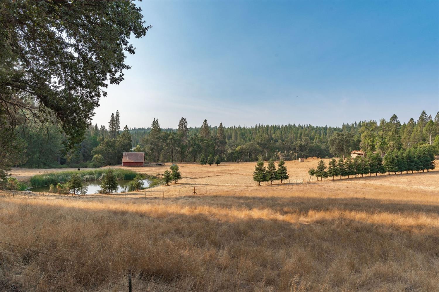 Pine Grove Volcano Road, Pine Grove, California image 22