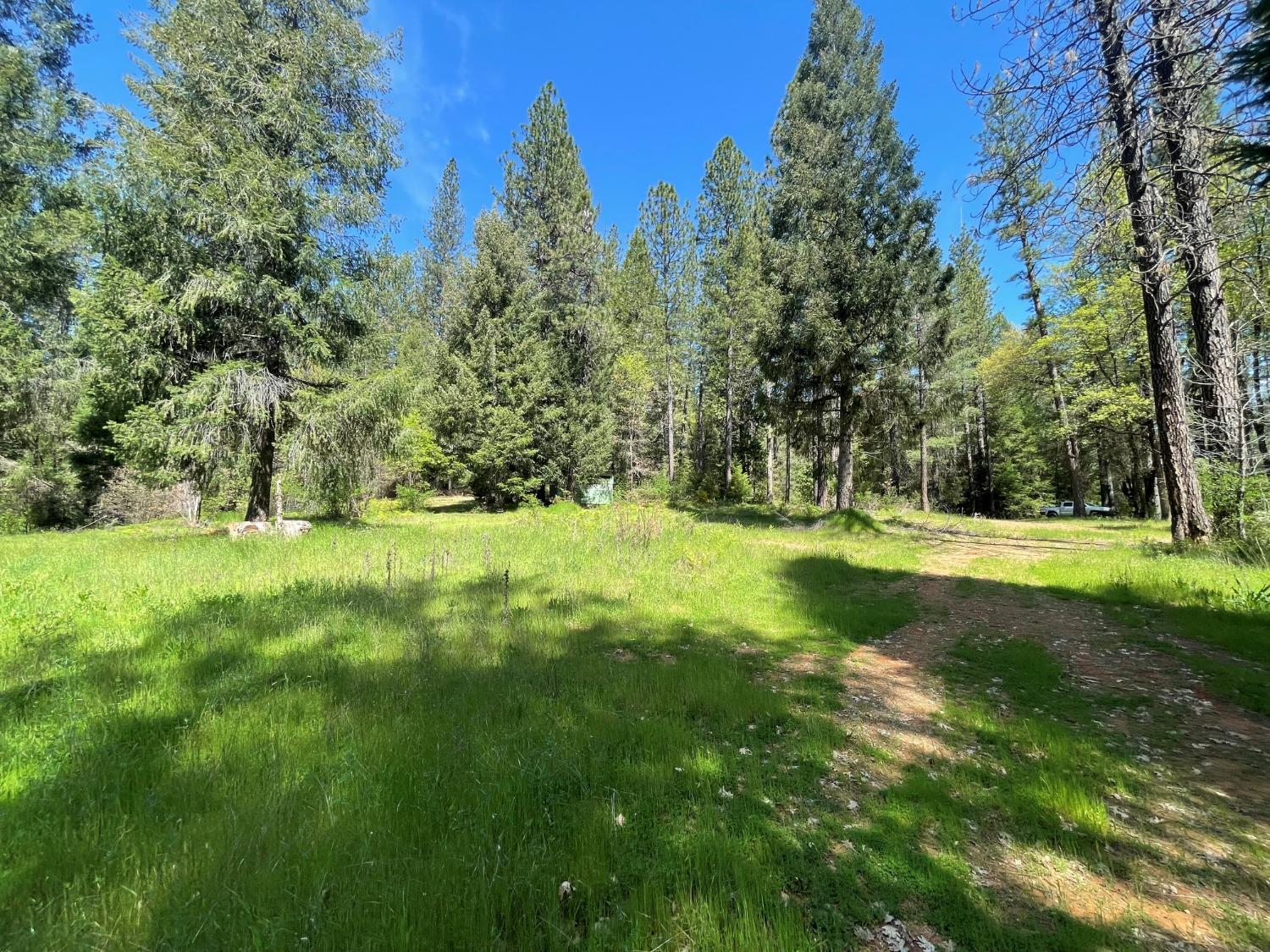 Detail Gallery Image 26 of 51 For 18822 Farrell Ravine Way, Nevada City,  CA 95959 - – Beds | – Baths