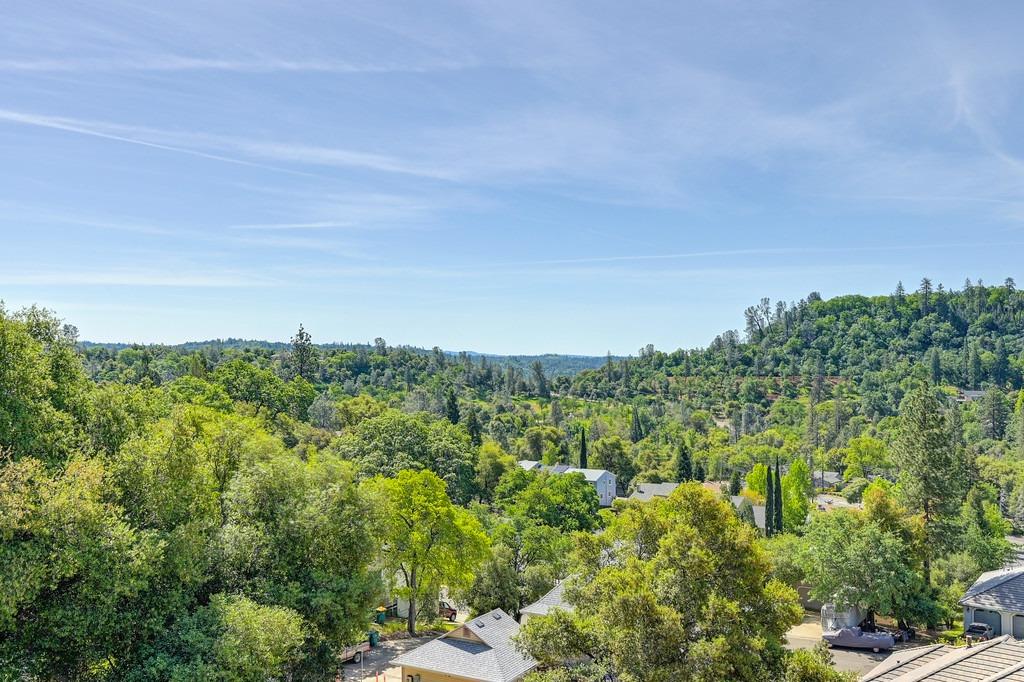 Detail Gallery Image 49 of 74 For 1487 Sean Dr, Placerville,  CA 95667 - 4 Beds | 2/1 Baths