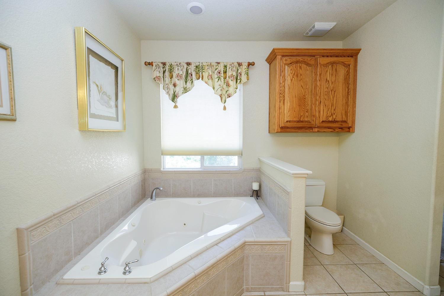 Detail Gallery Image 44 of 74 For 10012 Country Oak Ct, Oakdale,  CA 95361 - 3 Beds | 3/1 Baths
