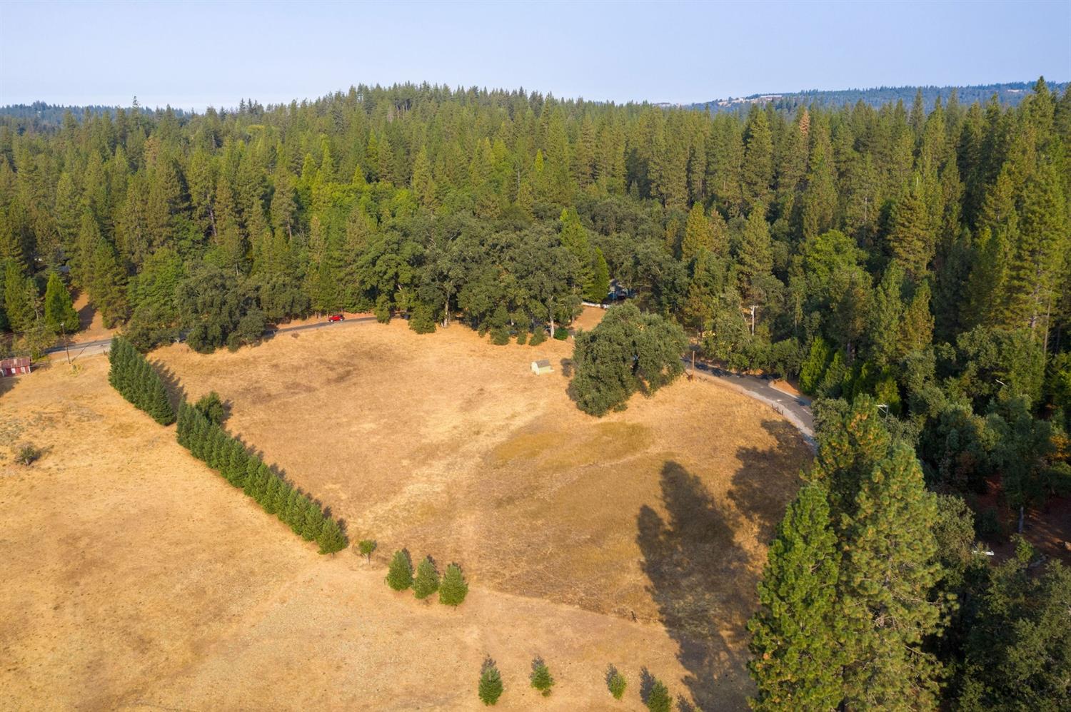 Pine Grove Volcano Road, Pine Grove, California image 13
