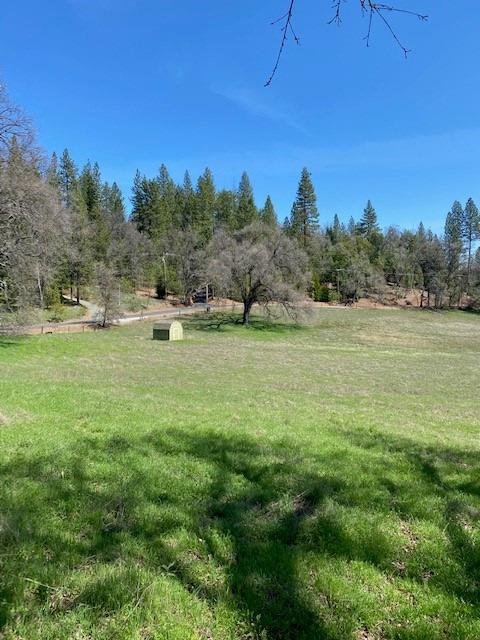 Pine Grove Volcano Road, Pine Grove, California image 32
