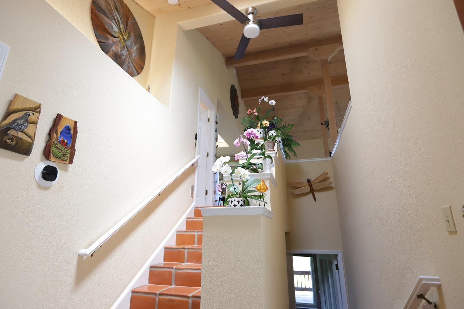 Detail Gallery Image 21 of 62 For 3476 Airport Rd, Placerville,  CA 95667 - 4 Beds | 3/1 Baths