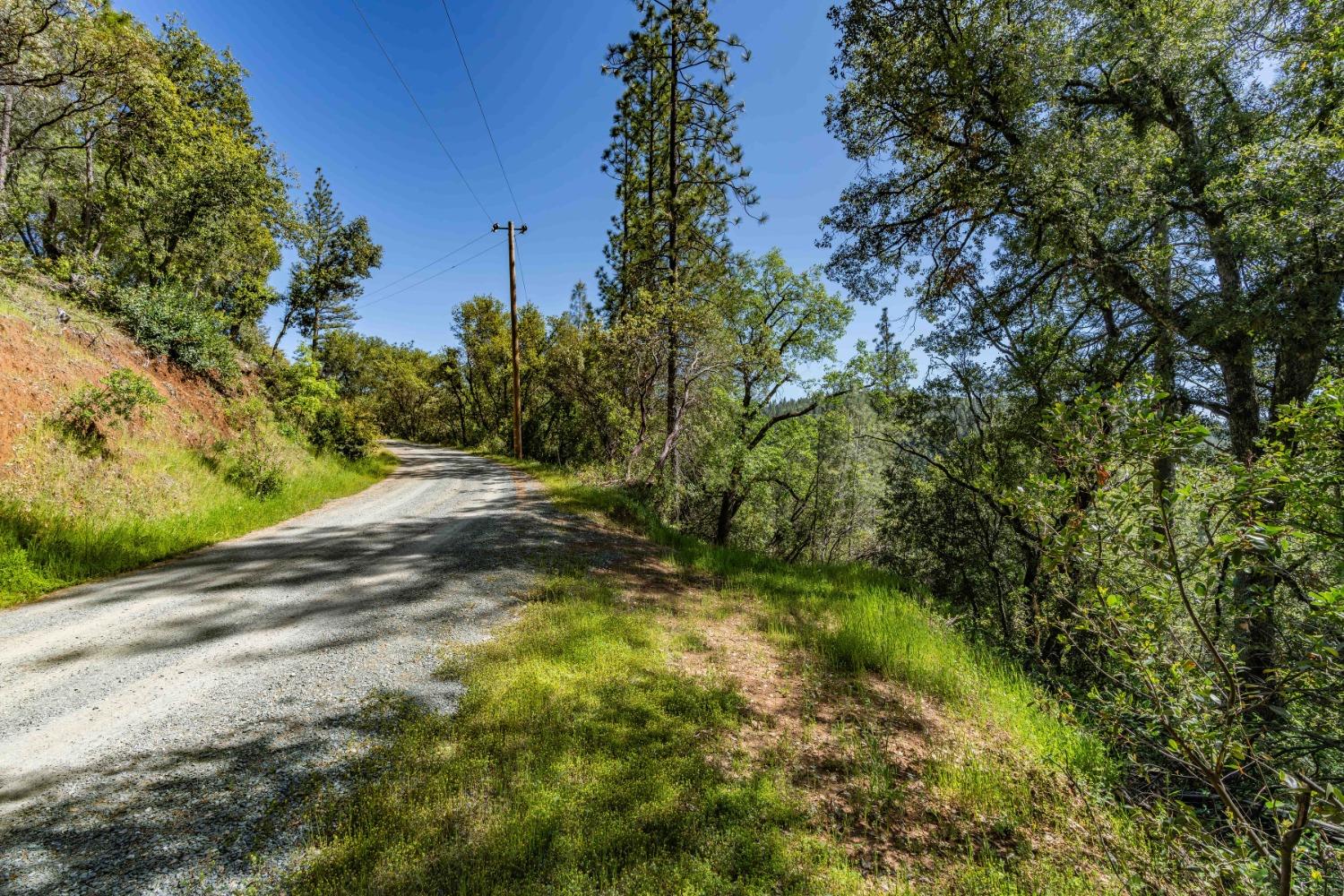 Rancho Canyon, Sutter Creek, California image 10