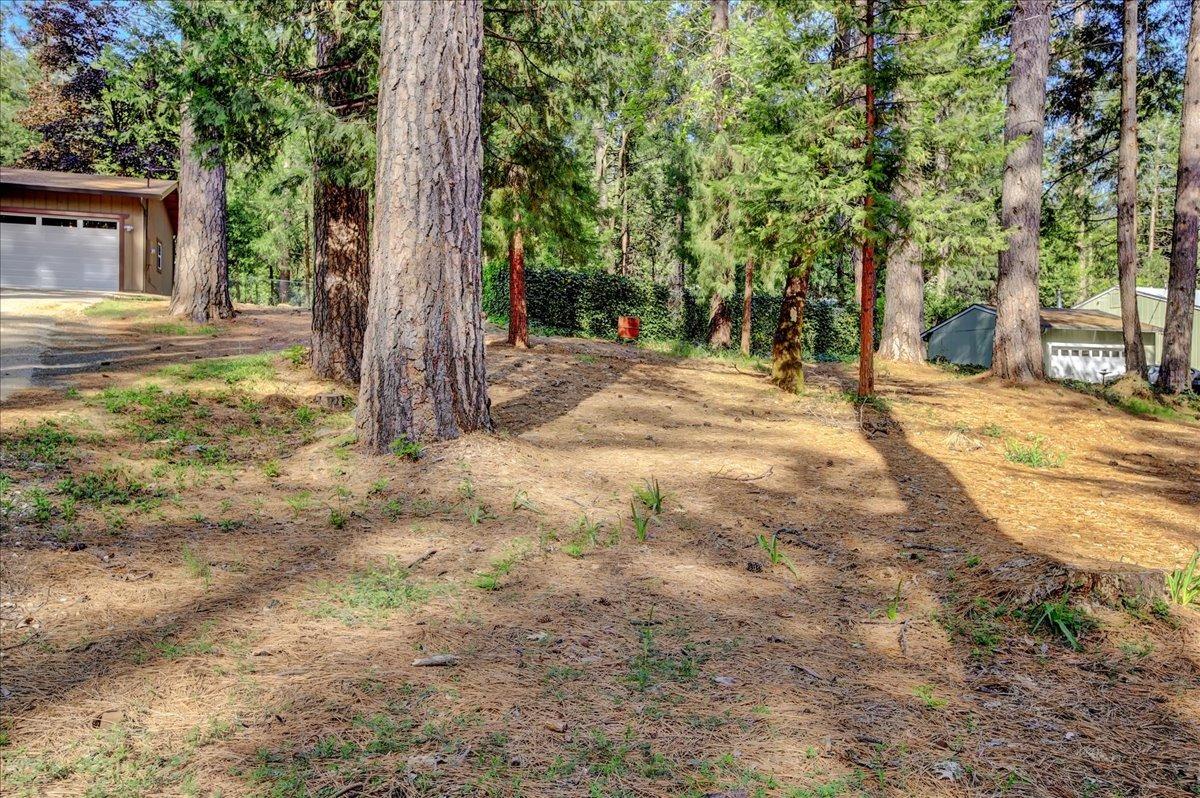 Detail Gallery Image 33 of 55 For 13002 Rattlesnake Rd, Grass Valley,  CA 95945 - 3 Beds | 2 Baths