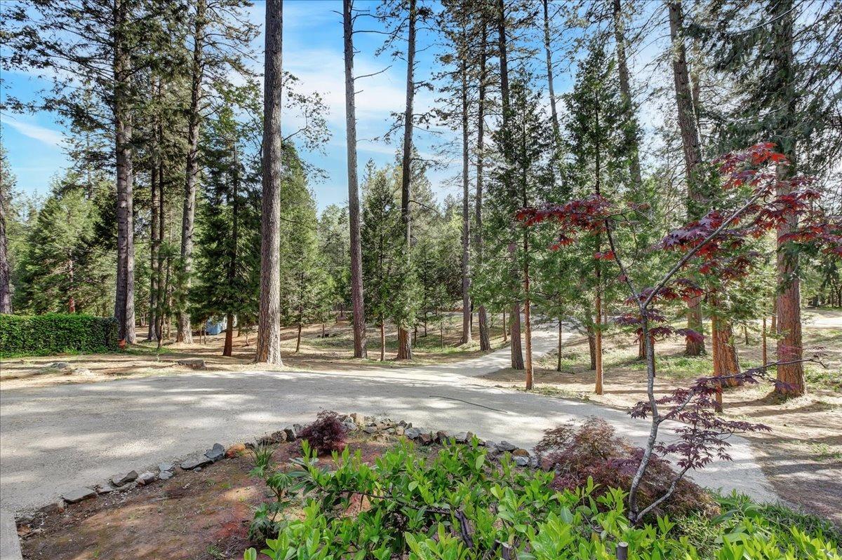 Detail Gallery Image 50 of 55 For 13002 Rattlesnake Rd, Grass Valley,  CA 95945 - 3 Beds | 2 Baths