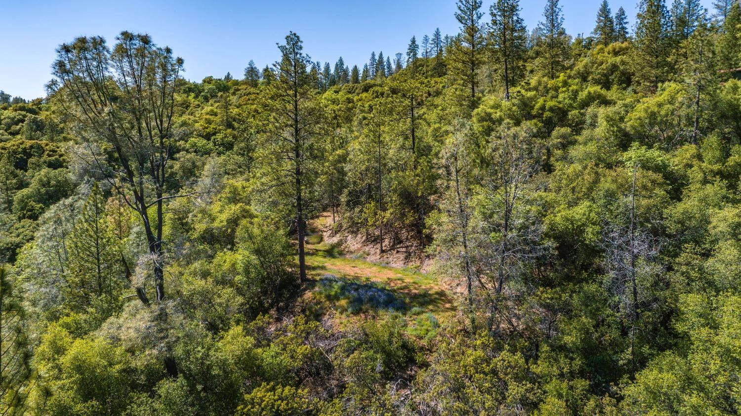 Rancho Canyon, Sutter Creek, California image 9