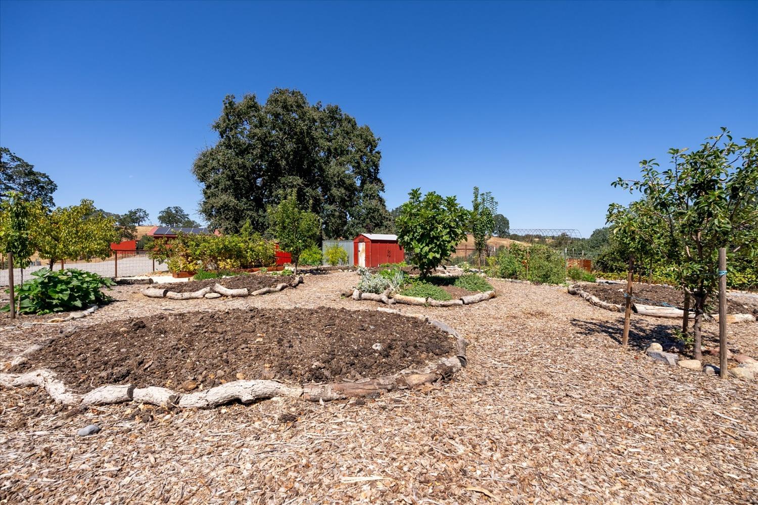 Detail Gallery Image 48 of 63 For 16450 State Hwy 36 W, Red Bluff,  CA 96080 - 3 Beds | 2 Baths