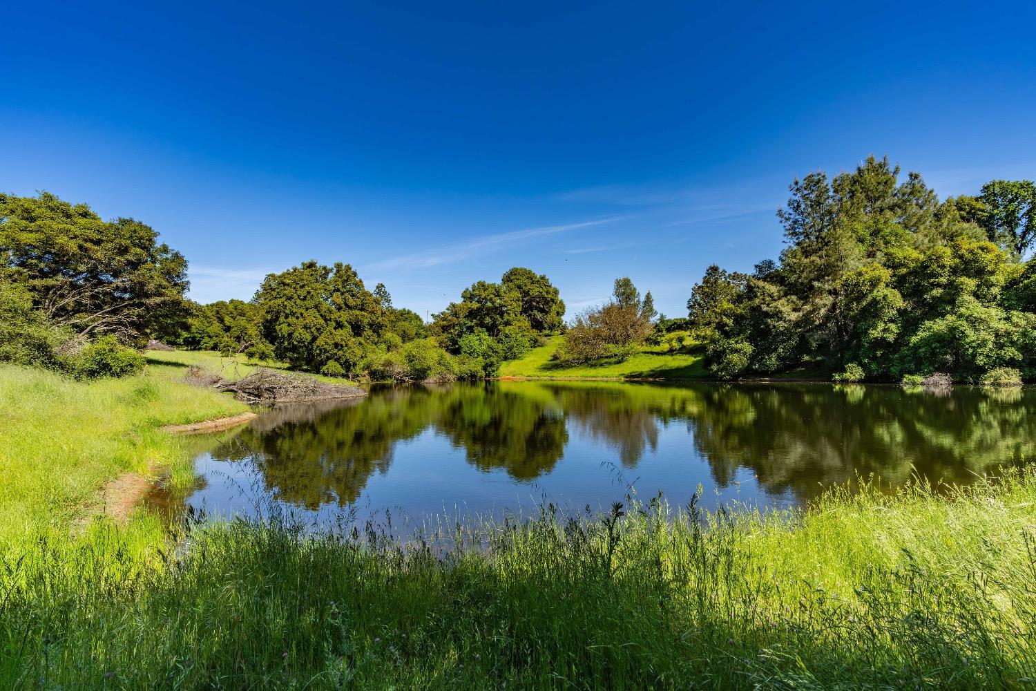 Ostrom Road, Fiddletown, California image 6