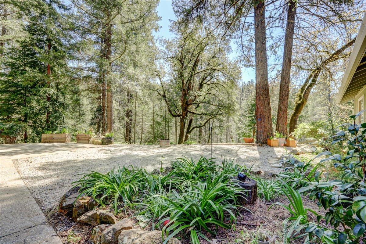 Detail Gallery Image 71 of 78 For 12001 Pine Cone Cir, Grass Valley,  CA 95945 - 3 Beds | 2 Baths