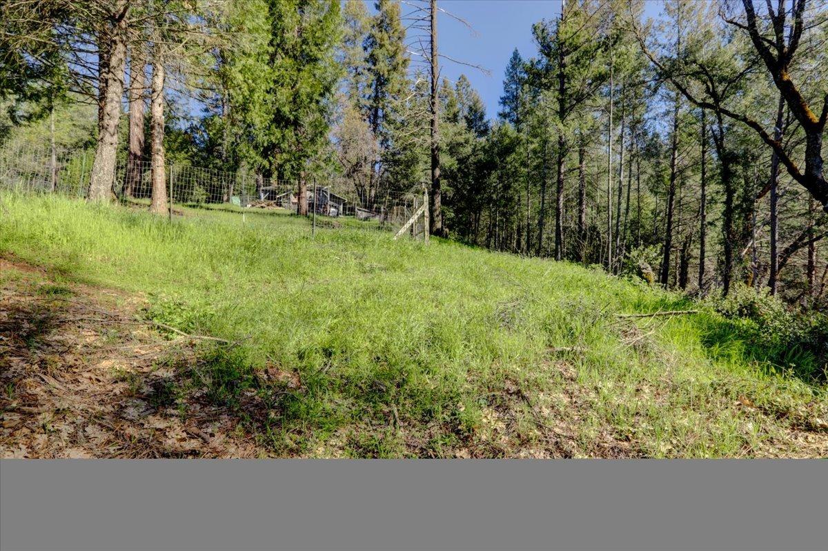 Detail Gallery Image 57 of 78 For 12001 Pine Cone Cir, Grass Valley,  CA 95945 - 3 Beds | 2 Baths