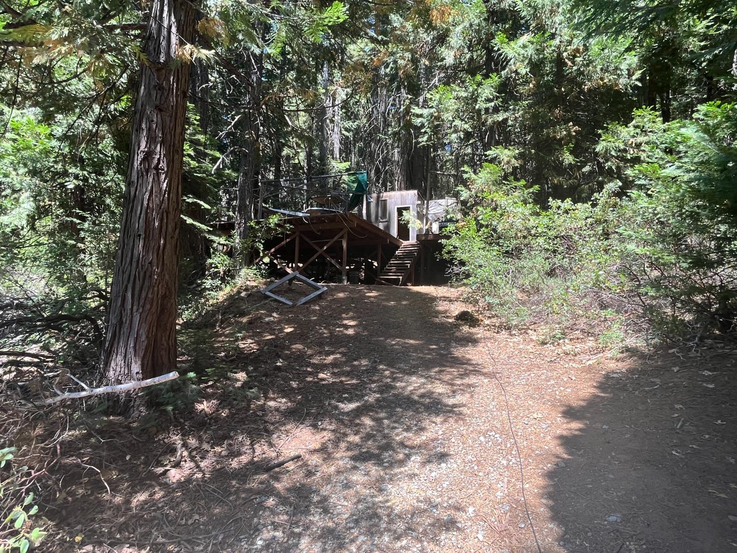 Backbone Road, Nevada City, California image 2