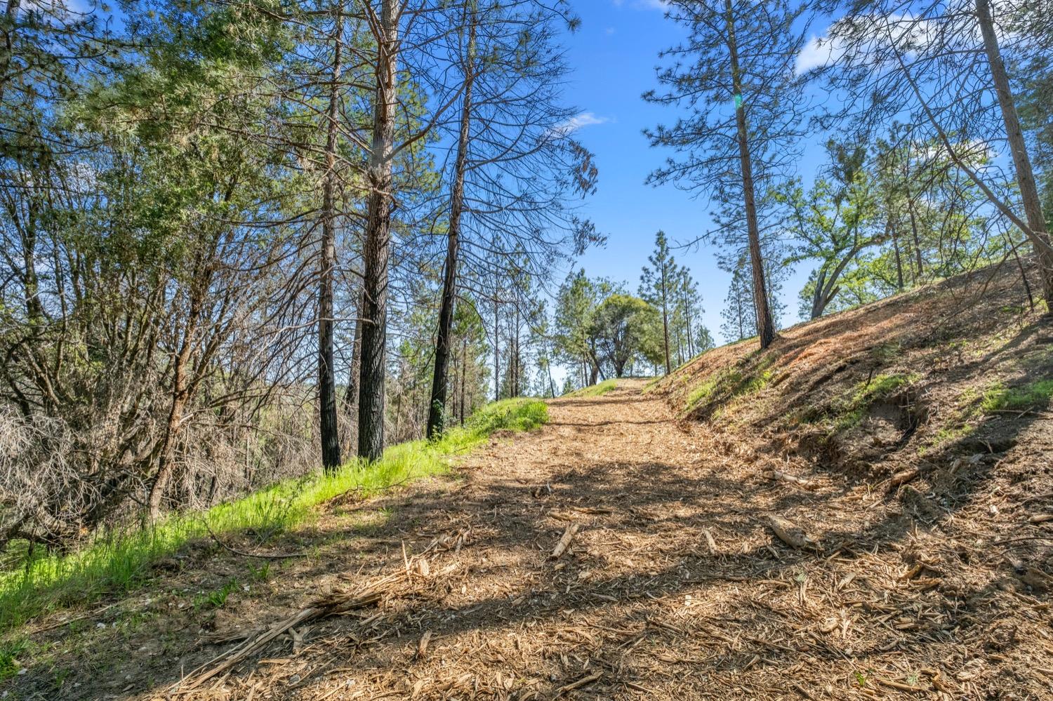 Canyon View Drive, Somerset, California image 8