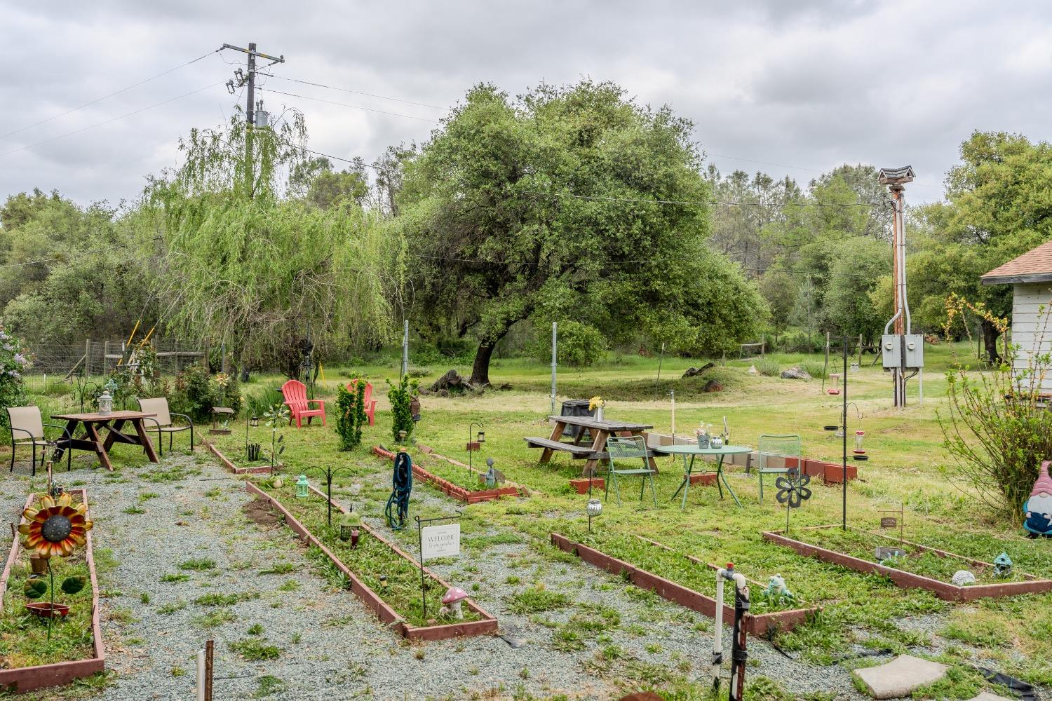 Homestead Road, Rescue, California image 3