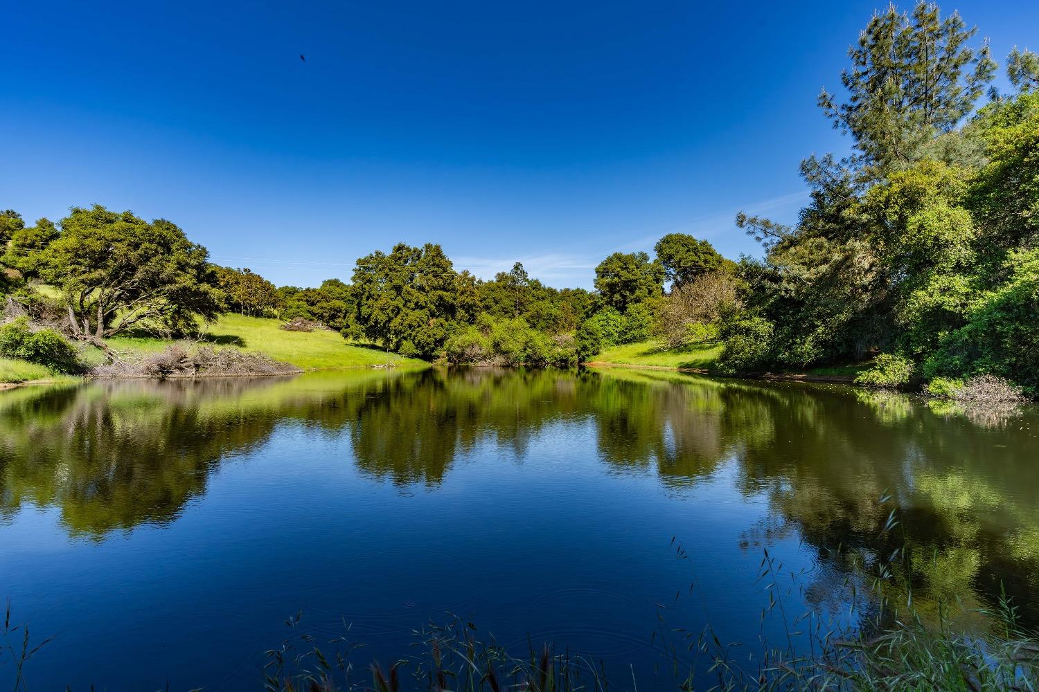 Detail Gallery Image 7 of 61 For 21101 Ostrom Rd, Fiddletown,  CA 95629 - 2 Beds | 1 Baths