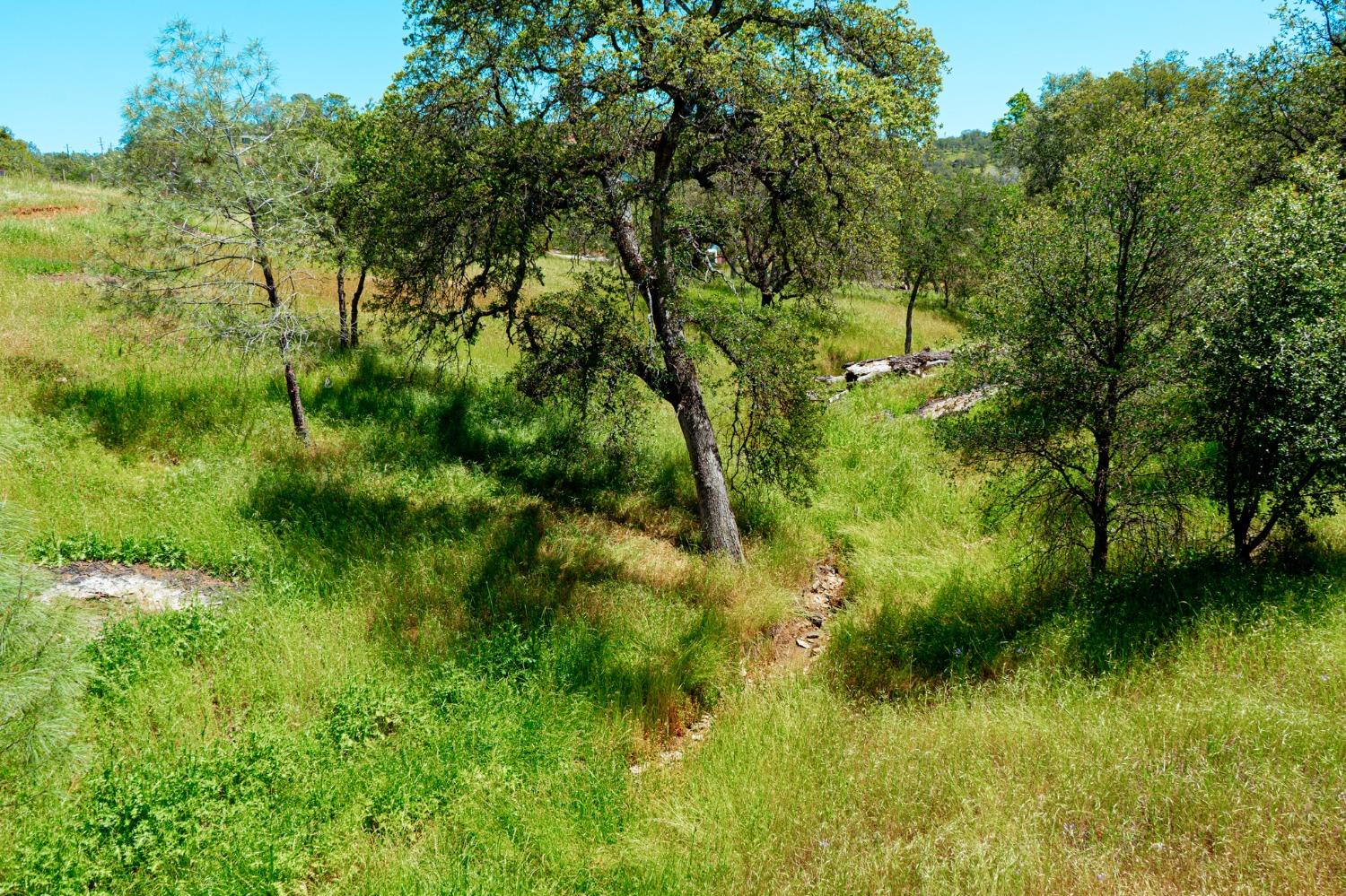 Llanura, La Grange, California image 5