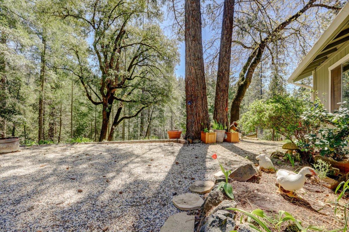Detail Gallery Image 6 of 78 For 12001 Pine Cone Cir, Grass Valley,  CA 95945 - 3 Beds | 2 Baths