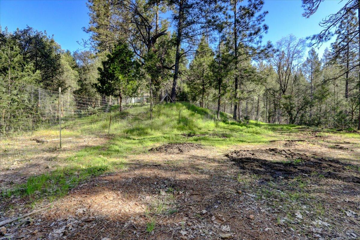 Detail Gallery Image 52 of 78 For 12001 Pine Cone Cir, Grass Valley,  CA 95945 - 3 Beds | 2 Baths