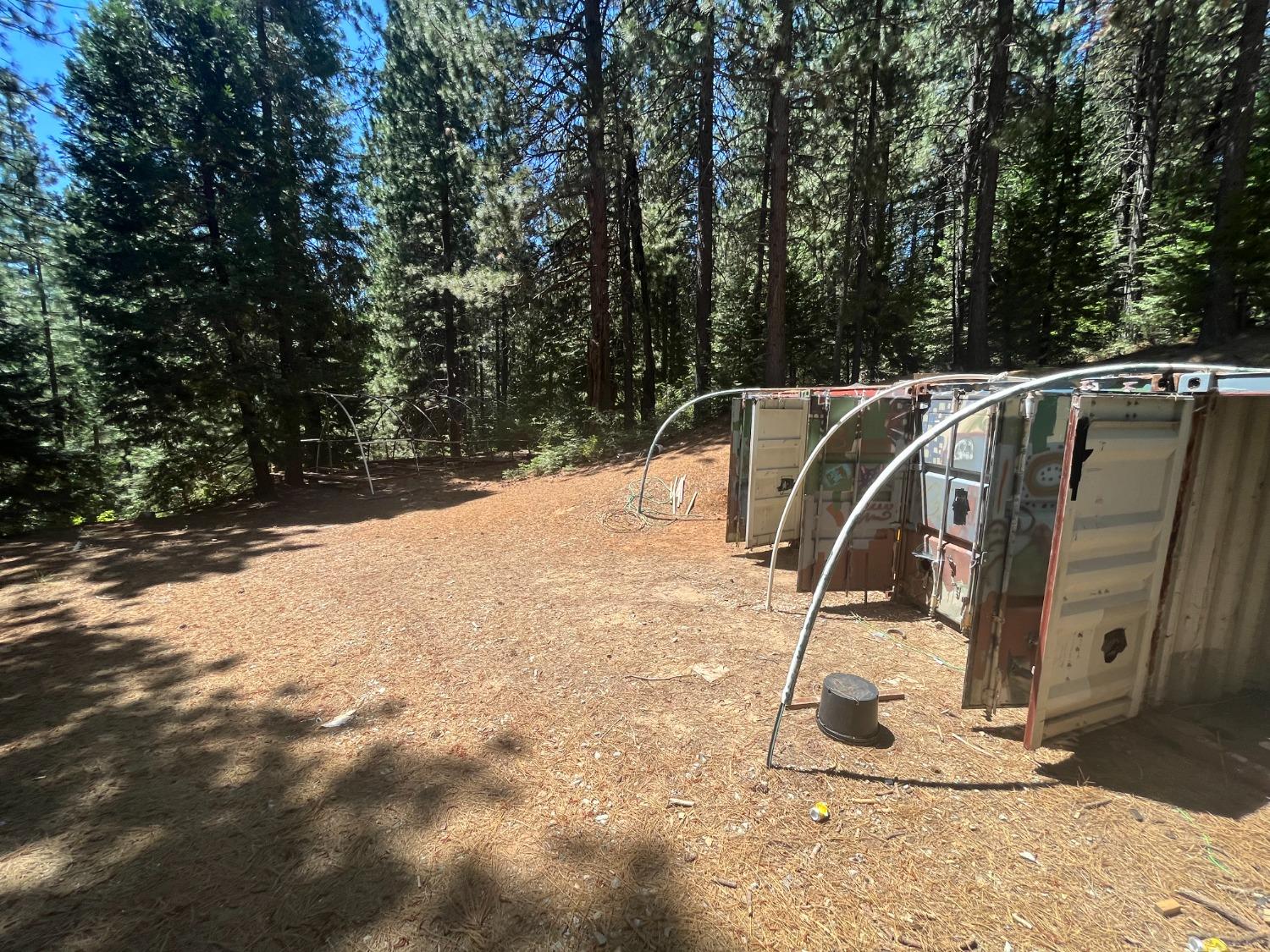 Backbone Road, Nevada City, California image 9