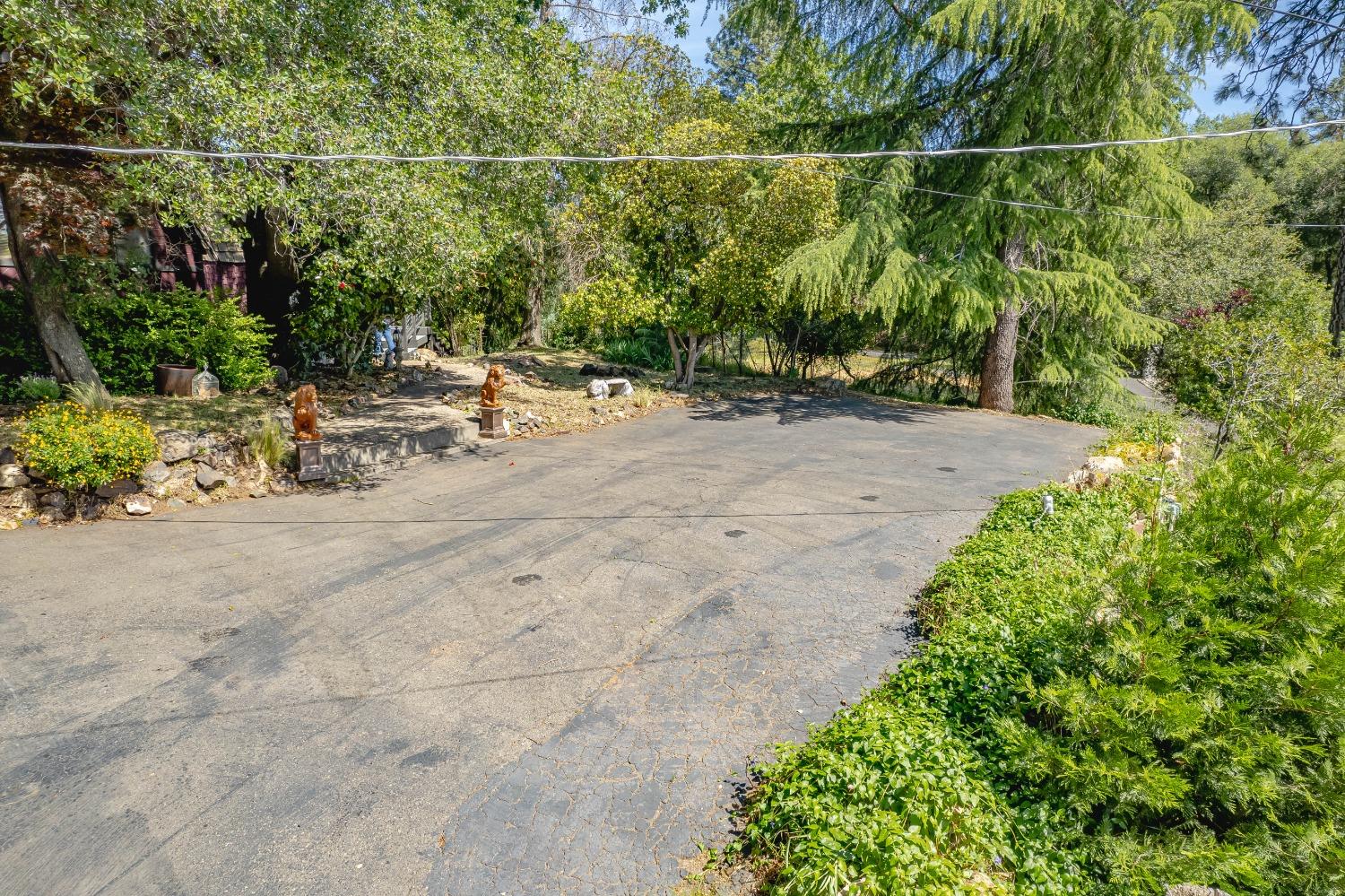 Hillwood Drive, Shingle Springs, California image 3