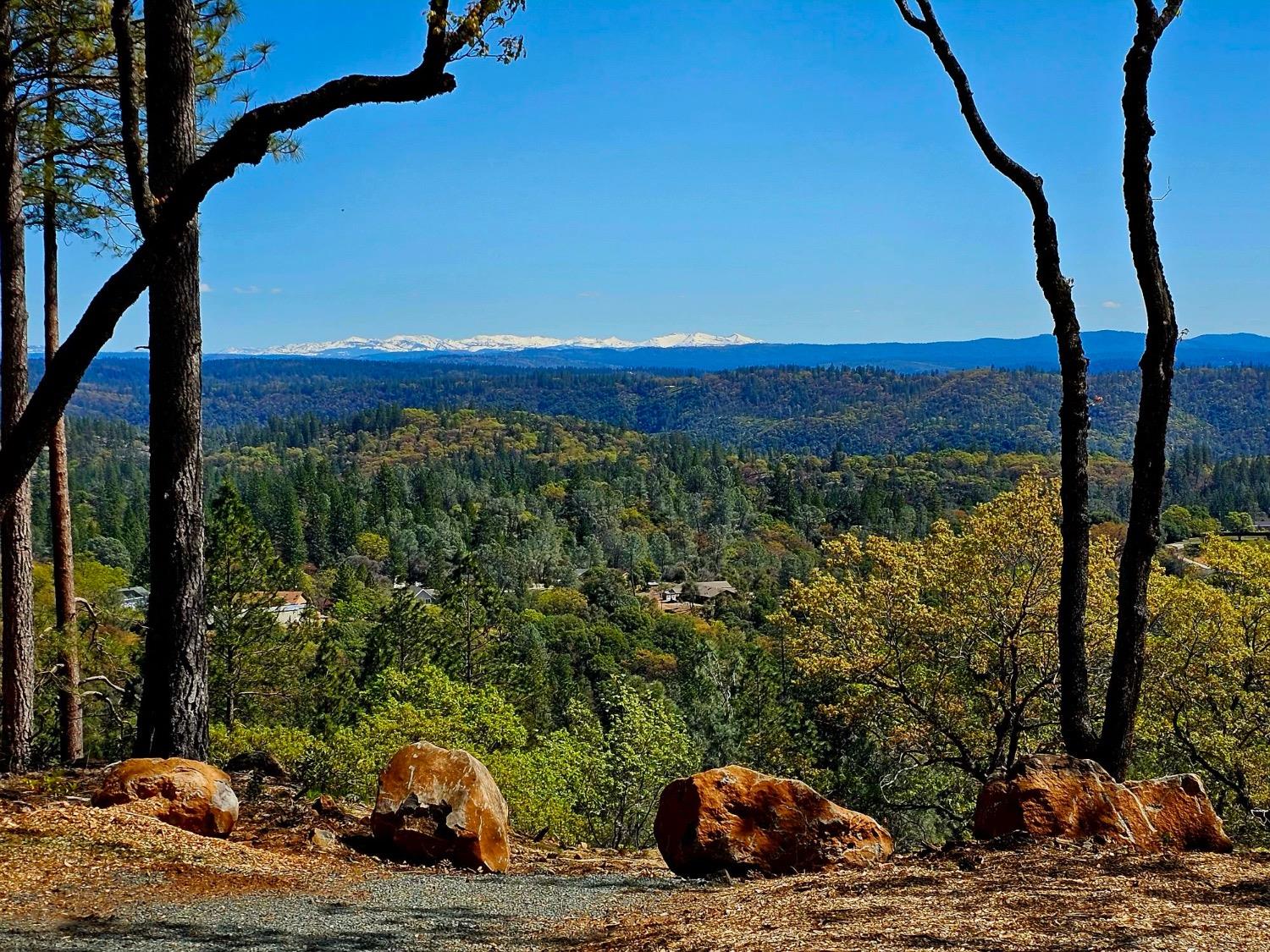 Mountain View Drive, Applegate, California image 4