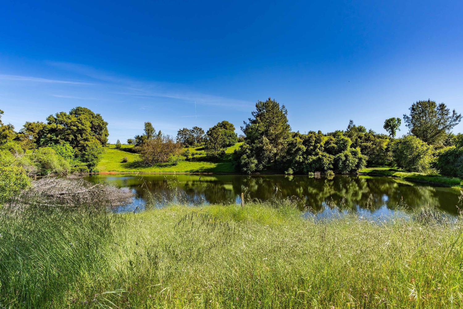 Detail Gallery Image 5 of 61 For 21101 Ostrom Rd, Fiddletown,  CA 95629 - 2 Beds | 1 Baths