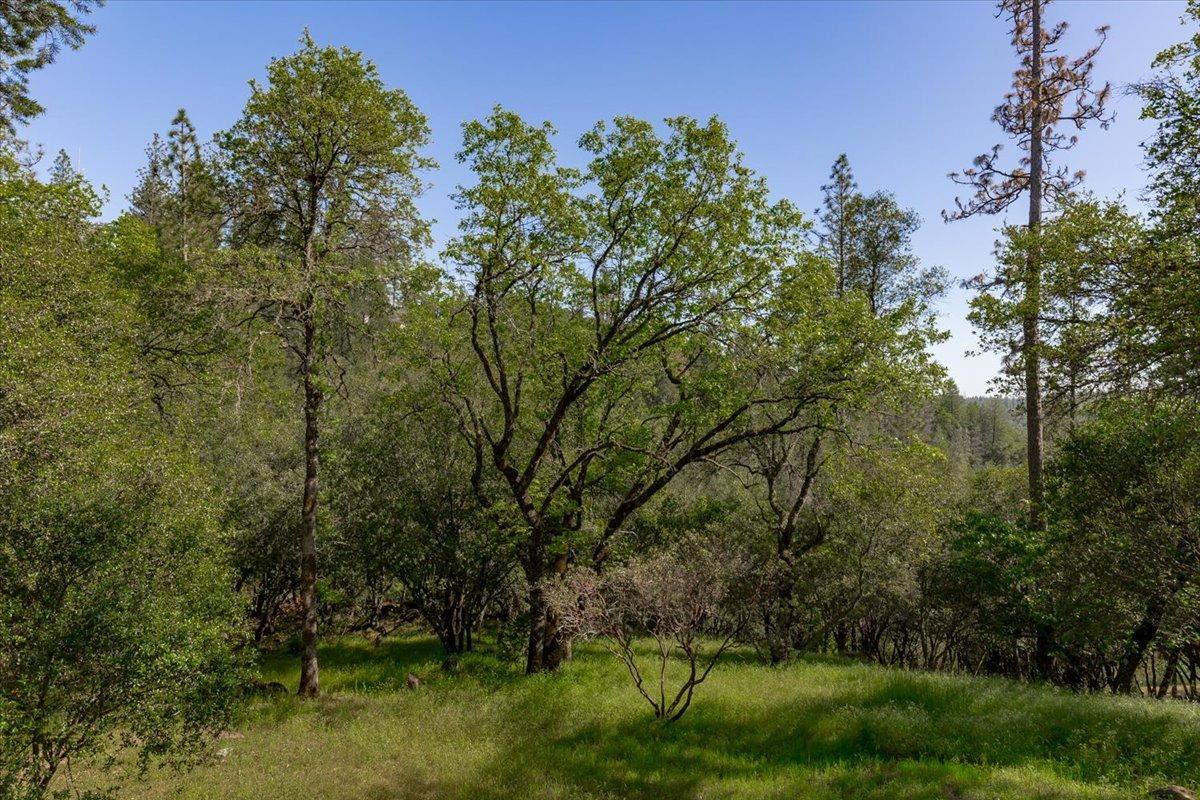 Detail Gallery Image 34 of 56 For 6990 Tamalpais Rd, Garden Valley,  CA 95633 - 3 Beds | 2 Baths