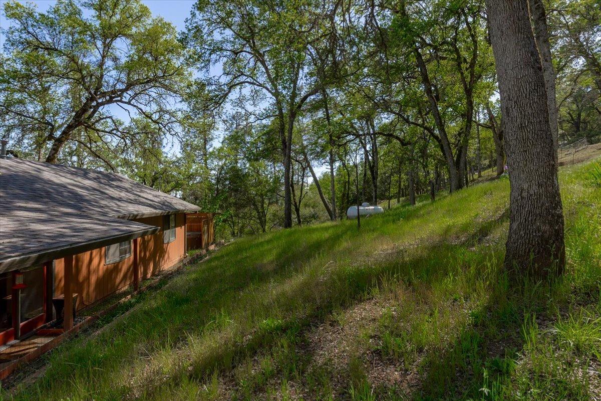 Detail Gallery Image 47 of 56 For 6990 Tamalpais Rd, Garden Valley,  CA 95633 - 3 Beds | 2 Baths