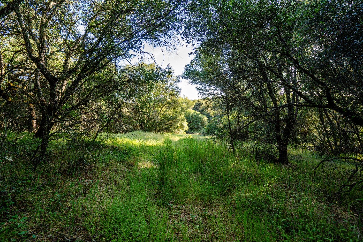 Detail Gallery Image 2 of 10 For 15334 Metcalf Rd, Grass Valley,  CA 95949 - – Beds | – Baths