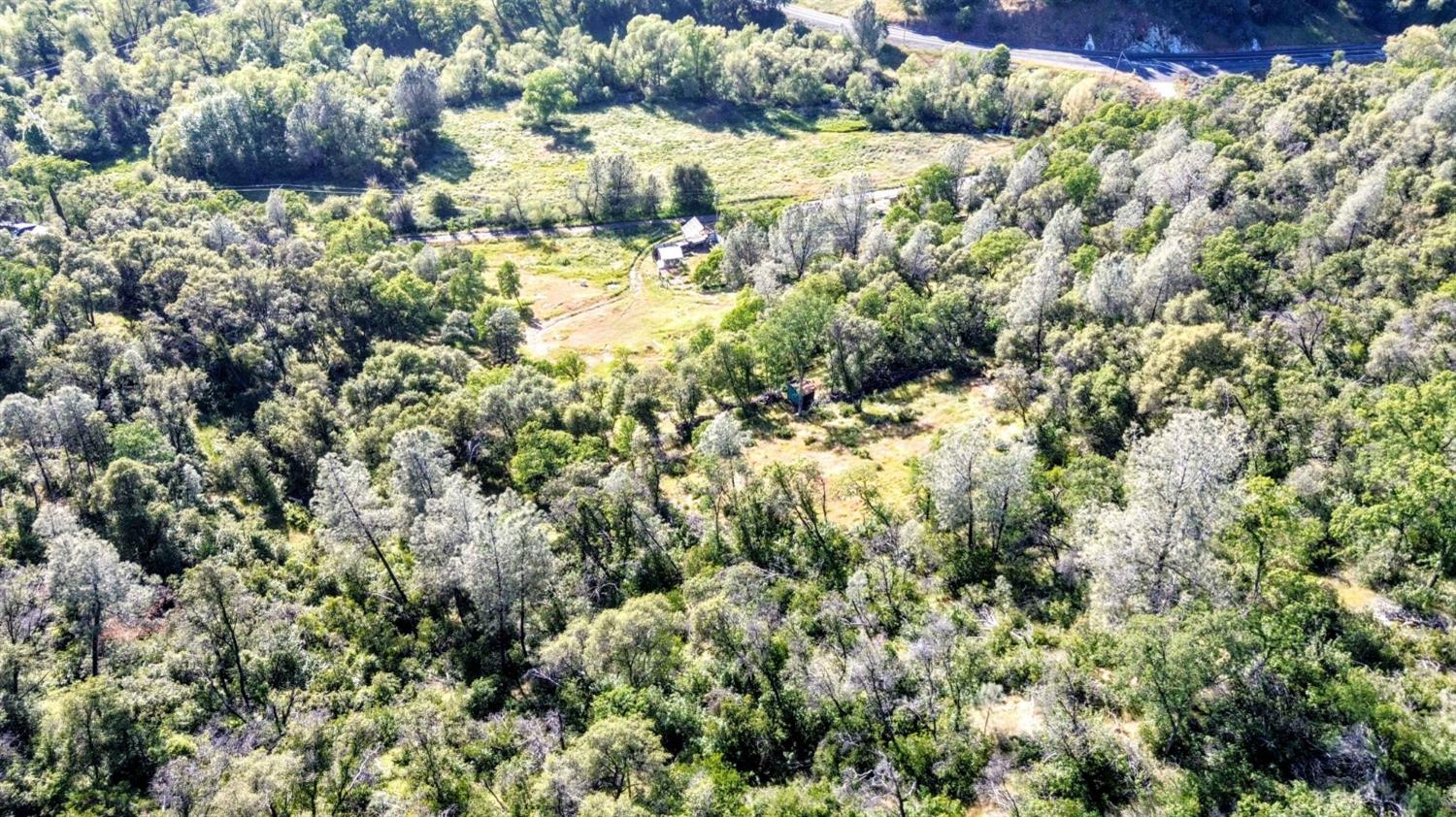 Mary Harrison Mine Road, Coulterville, California image 38