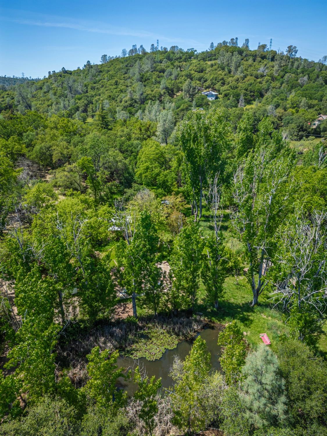 Detail Gallery Image 6 of 65 For 10264 Zangol Pl, Grass Valley,  CA 95949 - 2 Beds | 1 Baths